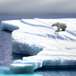 Hottest Day on Record Highlights Climate Crisis and El Niño Phenomenon